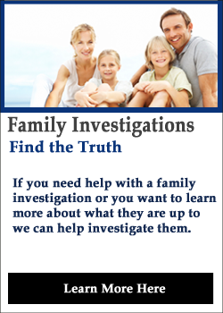 Domestic Investigations